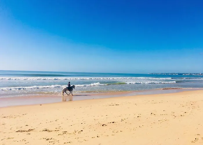 아파트 Regenbogen - Salgados Lagoas 알부페이라