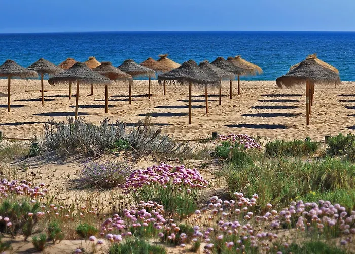 Regenbogen - Salgados Lagoas *